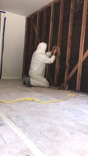 Mold Remediation in Inglewood, CA (5)